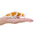 Mojo Carp koi ochiba shigure in a box